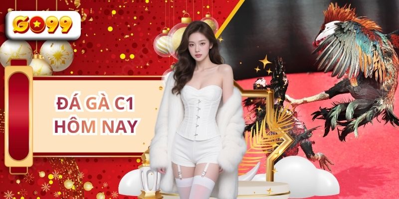 Đá Gà C1 Hôm Nay - Cách Xem Live Không Bị Giật Lag Tại GO99